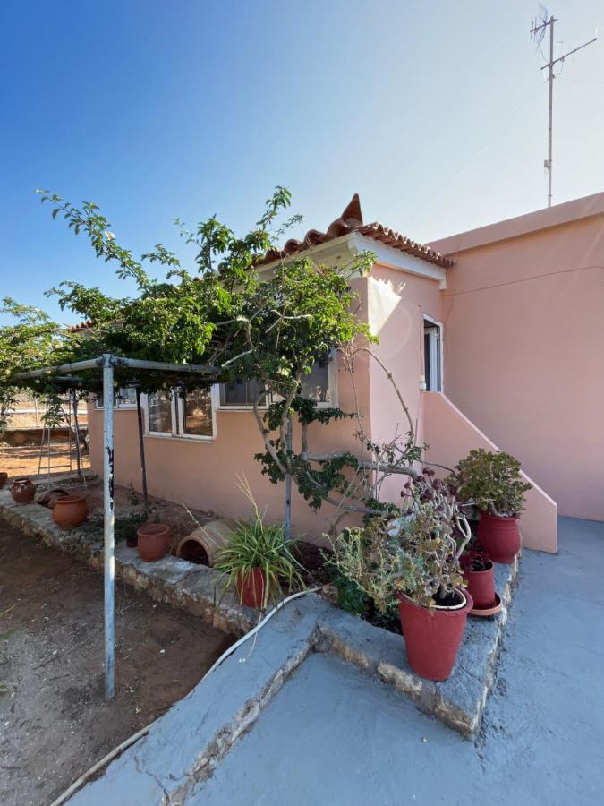 Harry'S House Elafonissos Exterior foto